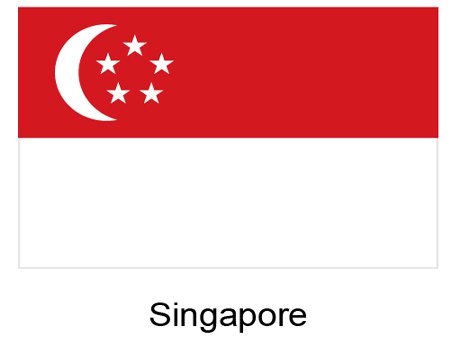 Singapore Flag - Export to Singapore