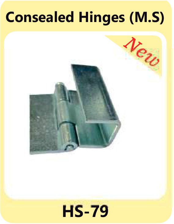  Consealed Hinges M.S HS-79 manufacturers in Aligarh 