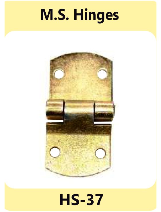 M.S. Hinges